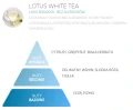 Odświeżacz do tkanin i tapicerki dla alergików LOTUS WHITE TEA 500 ML- SpringAir nuty zapachowe.webp